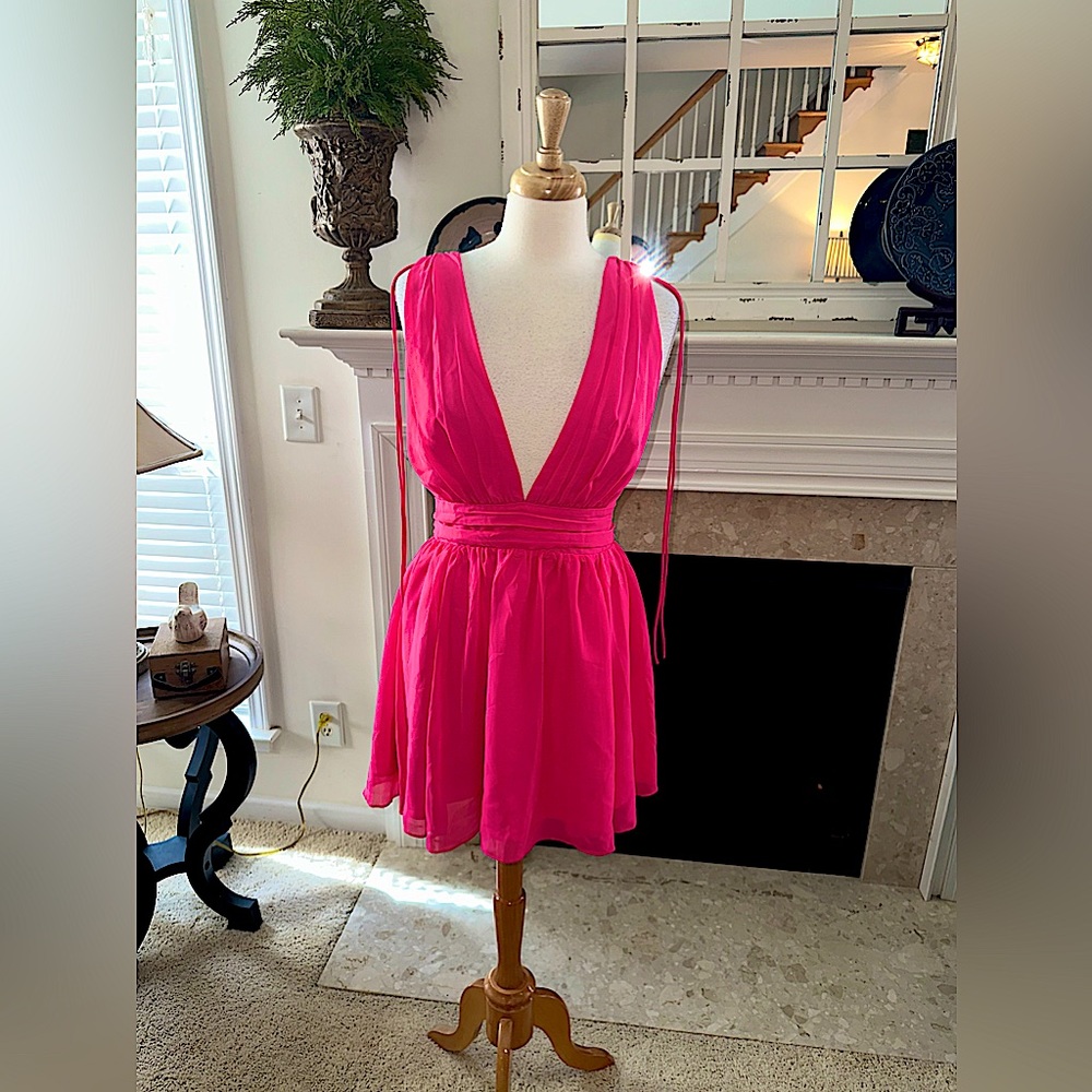 Fabulous Lucy in The Sky Pink Dress